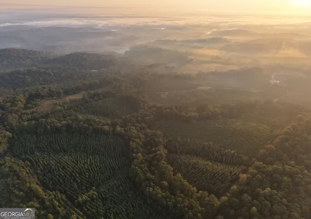 Land for sale at 1087 E Silver Shls Rd, Toccoa, GA 30577 | MLS# 10852087