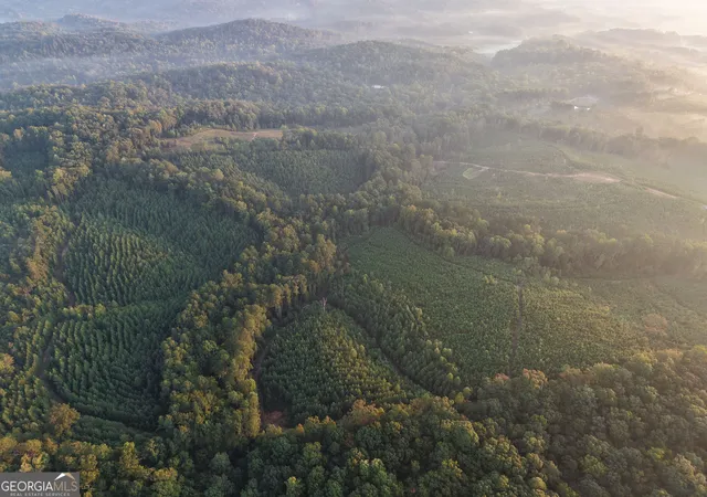 Photo 1 of Land for sale at 1087 E Silver Shls Rd, Toccoa, GA 30577 | MLS# 10852087 | Listing updated on 2026-10-08
