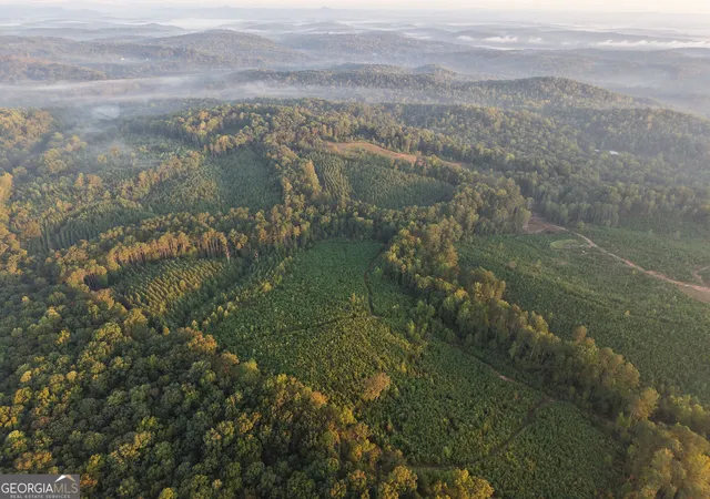 Photo 3 of Land for sale at 1087 E Silver Shls Rd, Toccoa, GA 30577 | MLS# 10852087 | Listing updated on 2026-10-08
