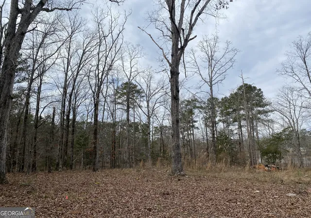 Photo 2 of Land for sale at 0 Paradise St, Lincolnton, GA 30817 | MLS# 10838087 | Listing updated on 2026-10-05