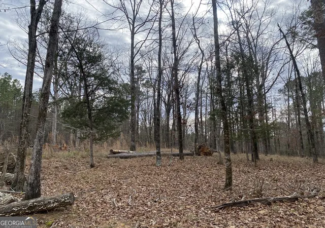 Photo 3 of Land for sale at 0 Paradise St, Lincolnton, GA 30817 | MLS# 10838087 | Listing updated on 2026-10-05