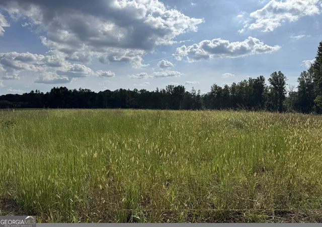 Land for sale at 0 Highway 113, Temple, GA 30179 | MLS# 10849557
