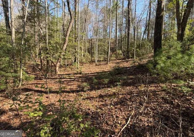 Photo 3 of Land for sale at 0 Black Fls Rd, Dahlonega, GA 30533 | MLS# 10850418 | Listing updated on 2026-10-05