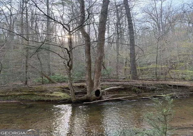 Photo 4 of Land for sale at 0 Black Fls Rd, Dahlonega, GA 30533 | MLS# 10850418 | Listing updated on 2026-10-05