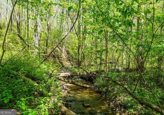 Photo 3 of Land for sale at 000 Burnt Mountain Rd, Ellijay, GA 30536 | MLS# 10877575 | Listing updated on 2026-10-26