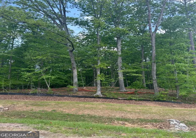 Photo 3 of Land for sale at 240 Thompson Trl, Alpharetta, GA 30004 | MLS# 10851148 | Listing updated on 2026-09-23
