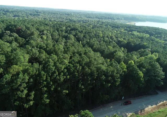Photo 3 of Land for sale at 131 Ext Johnson Road, Locust Grove, GA 30248 | MLS# 10831075 | Listing updated on 2026-09-22