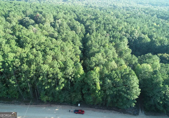 Photo 3 of Land for sale at 131 Ext Johnson Road, Locust Grove, GA 30248 | MLS# 10831075 | Listing updated on 2026-09-22