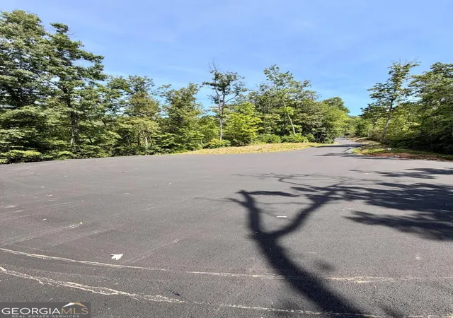 Photo 1 of Land for sale at Lot 17 Turquoise Ridge, Blue Ridge, GA 30513 | MLS# 10848522 | Listing updated on 2026-09-18