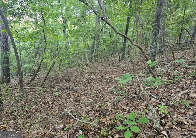 Land for sale at 391 Meteor Ct #391, Ranger, GA 30734 | MLS# 10853631