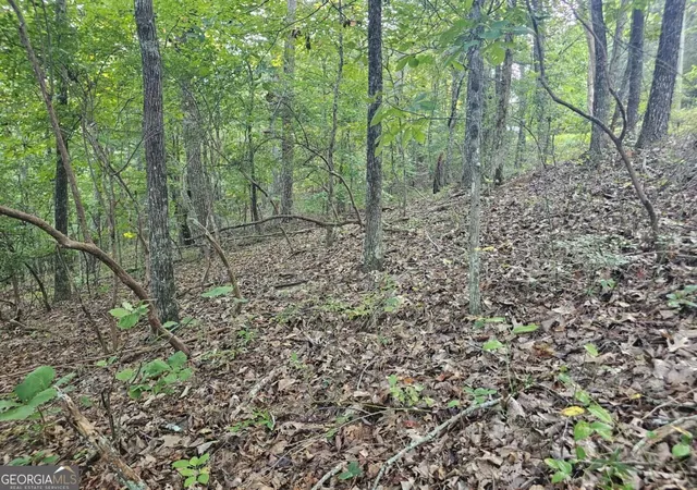 Photo 3 of Land for sale at 391 Meteor Ct #391, Ranger, GA 30734 | MLS# 10853631 | Listing updated on 2026-10-09