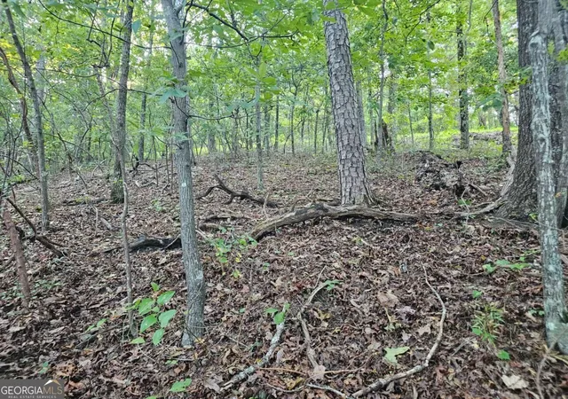 Photo 3 of Land for sale at 391 Meteor Ct #391, Ranger, GA 30734 | MLS# 10853631 | Listing updated on 2026-10-09