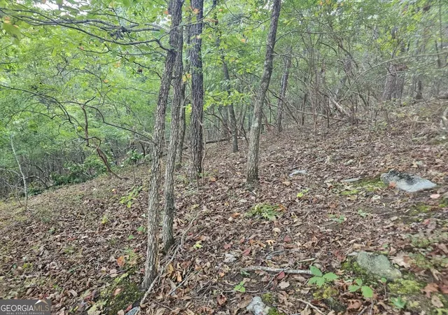 Photo 4 of Land for sale at 391 Meteor Ct #391, Ranger, GA 30734 | MLS# 10853631 | Listing updated on 2026-10-09