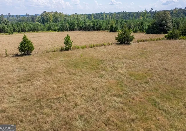 Photo 3 of Sale Pending at Lot 5 Union Church Rd, Thomson, GA 30824 | MLS# 10842657 | Listing updated on 2026-09-11