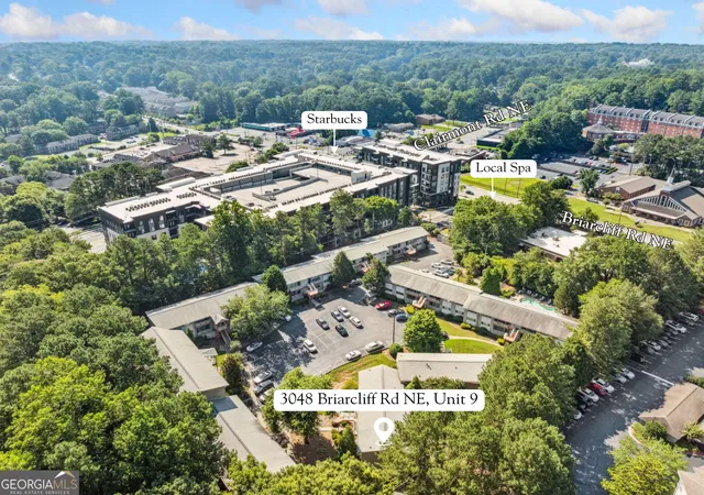 Listing Photo 5 - Condo for sale in building located at 3048 Briarcliff Rd NE, Atlanta, GA 30329 - Unit #9