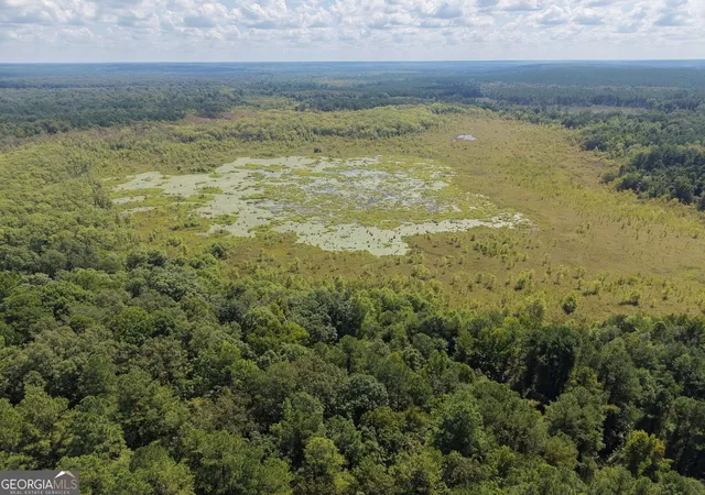 Photo 4 of Land for sale at 0 Highway 102, Warthen, GA 31094 | MLS# 10837644 | Listing updated on 2026-09-15
