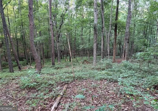 Photo 14 of Land for sale at Lot 18 Norton Ln, Dahlonega, GA 30533 | MLS# 10838912 | Listing updated on 2026-09-03