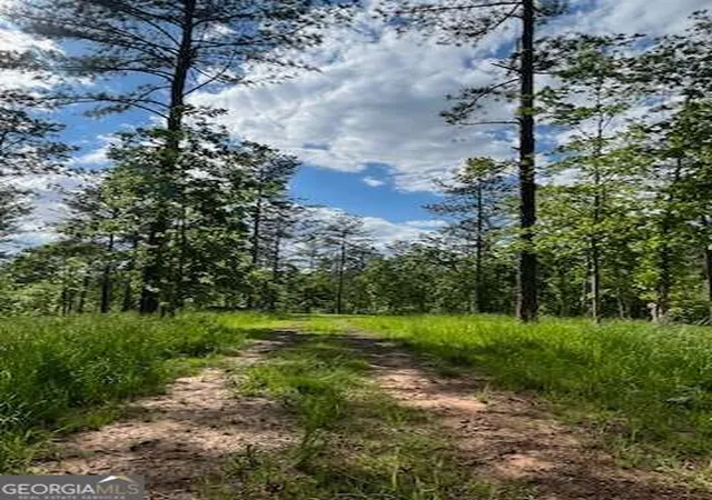 Photo 3 of House for sale at Lot 1 Highway 52 W, Dahlonega, GA 30533 | MLS# 10839815 | Listing updated on 2026-09-17