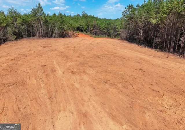 Photo 3 of Sale Pending at 0 Cashtown Rd Tract 3 #TRACT 3, Aragon, GA 30104 | MLS# 10846031 | Listing updated on 2026-10-06