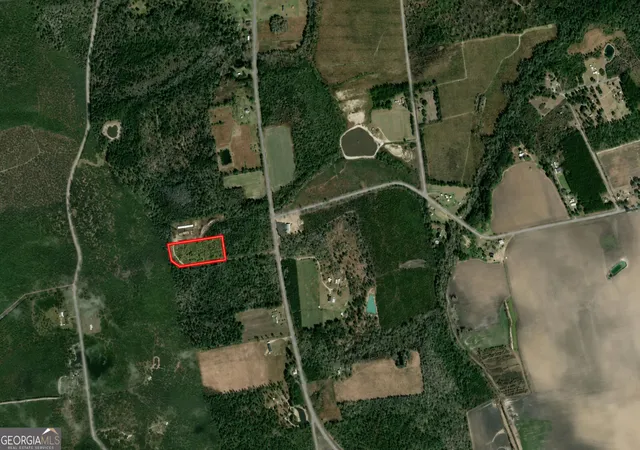 Photo 3 of Land for sale at 00 N Manor Millwood Rd, Millwood, GA 31552 | MLS# 10841544 | Listing updated on 2026-10-16