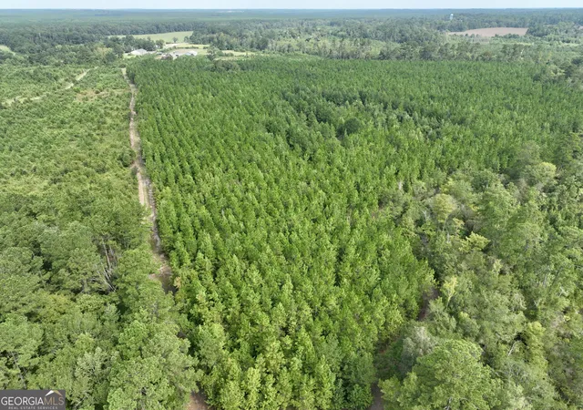 Photo 3 of Land for sale at 0 S Ocmulgee Blvd, Jacksonville, GA 31544 | MLS# 10839977 | Listing updated on 2026-09-18