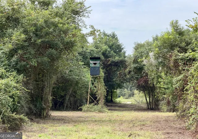 Photo 3 of House for sale at 0 S Ocmulgee Blvd, Jacksonville, GA 31544 | MLS# 10839977 | Listing updated on 2026-09-18