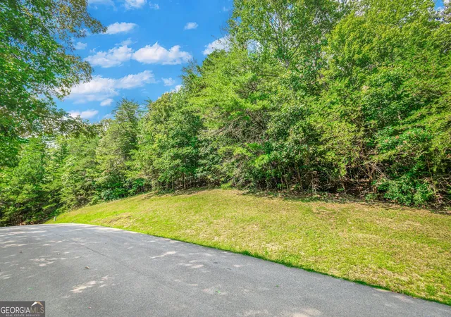 Photo 3 of Land for sale at Lot 104 Mountain Crk Holw Dr, Talking Rock, GA 30175 | MLS# 10852741 | Listing updated on 2026-10-08