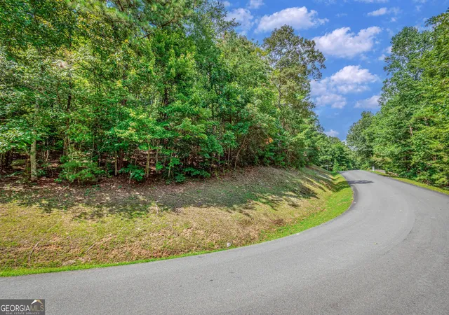 Photo 4 of Land for sale at Lot 104 Mountain Crk Holw Dr, Talking Rock, GA 30175 | MLS# 10852741 | Listing updated on 2026-10-08