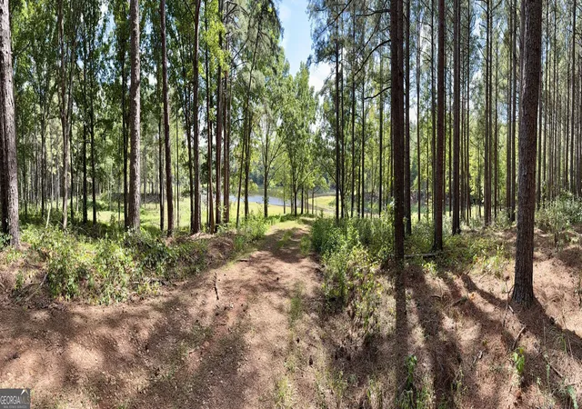 Photo 2 of Land for sale at 1102 Mitchell Rd, Maysville, GA 30558 | MLS# 10846741 | Listing updated on 2026-09-30