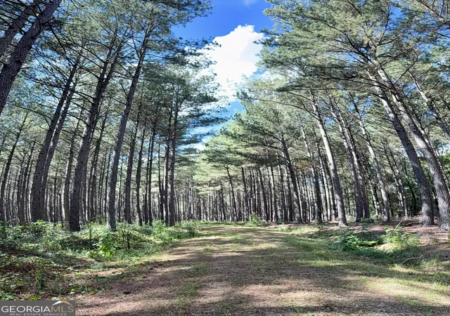 Photo 3 of Land for sale at 1102 Mitchell Rd, Maysville, GA 30558 | MLS# 10846741 | Listing updated on 2026-09-30
