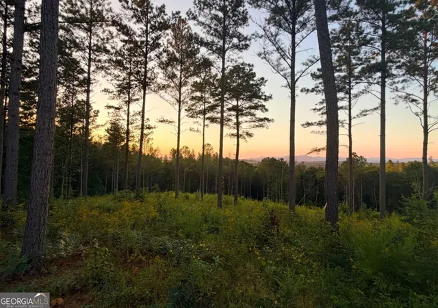 Land for sale at 0 Lacey Springs Ln #64, Ellijay, GA 30540 | MLS# 10844121