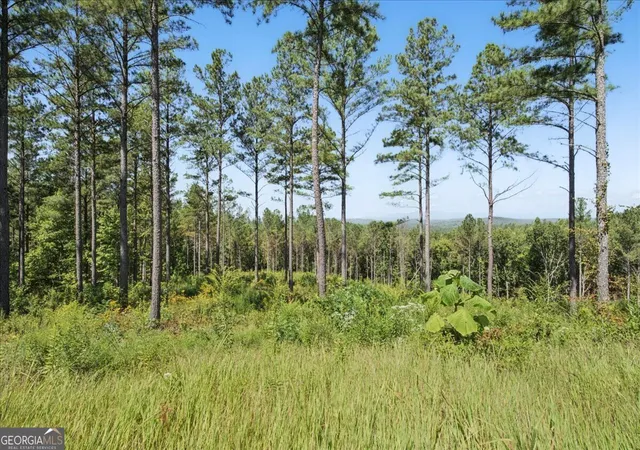 Photo 2 of Land for sale at 0 Lacey Springs Ln #64, Ellijay, GA 30540 | MLS# 10844121 | Listing updated on 2026-09-11