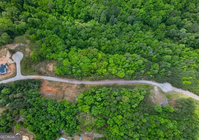Photo 3 of Land for sale at 0 Castona Ln, Douglasville, GA 30135 | MLS# 10837257 | Listing updated on 2026-10-20