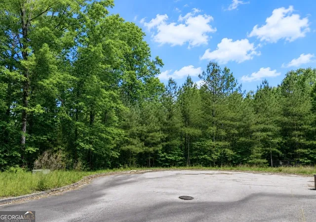 Photo 4 of Land for sale at 0 Castona Ln, Douglasville, GA 30135 | MLS# 10837257 | Listing updated on 2026-10-20
