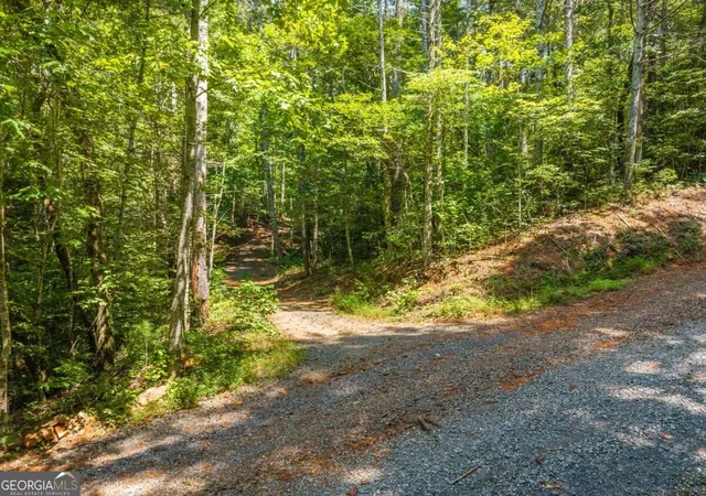 Photo 3 of Land for sale at Tract 2a Stevens Ridge Rd, Ellijay, GA 30540 | MLS# 10847777 | Listing updated on 2026-09-17