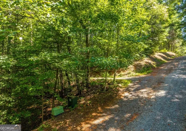 Photo 4 of Land for sale at Tract 2a Stevens Ridge Rd, Ellijay, GA 30540 | MLS# 10847777 | Listing updated on 2026-09-17