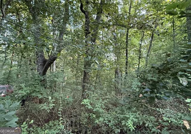 Land for sale at 2726 Vaughandale Cir, Gainesville, GA 30506 | MLS# 10839850