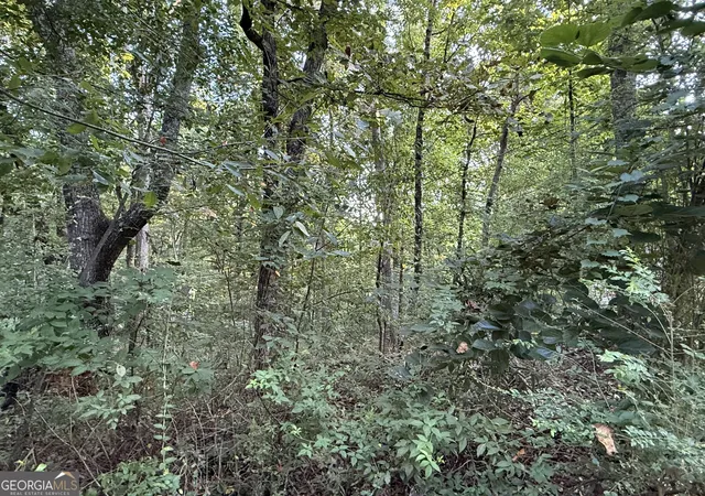 Photo 2 of Land for sale at 2726 Vaughandale Cir, Gainesville, GA 30506 | MLS# 10839850 | Listing updated on 2026-09-09