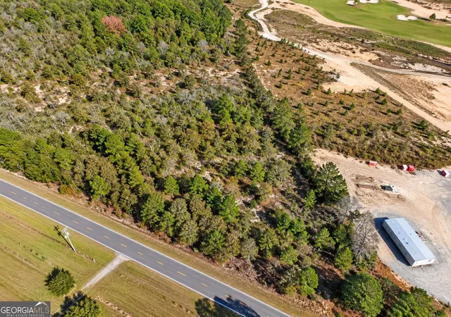 Photo 4 of Land for sale at 5 Acres Henry Currington Rd, Mauk, GA 31058 | MLS# 10877070 | Listing updated on 2026-10-27