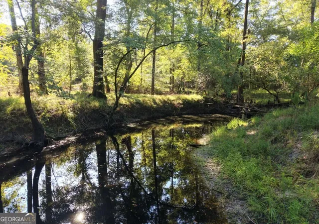 Photo 1 of Land for sale at 114 Riley Ct, Springfield, GA 31329 | MLS# 10849608 | Listing updated on 2026-10-05