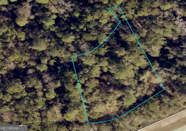 Photo 2 of Land for sale at 110 Canoe Run, Woodbine, GA 31569 | MLS# 10842640 | Listing updated on 2026-09-23