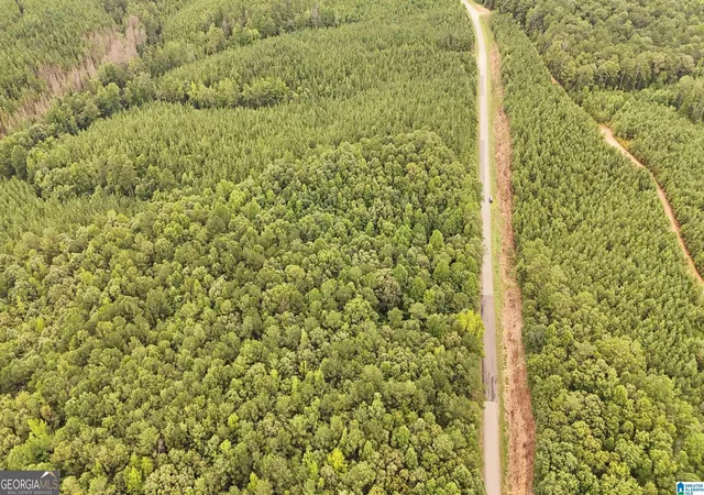 Photo 1 of Sale Pending at 0 County Rd 33, Fruithurst, AL 36262 | MLS# 10845635 | Listing updated on 2026-10-05