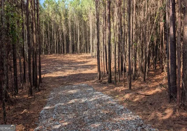 Photo 3 of Land for sale at 2446 Soap Crk Rd, Ball Ground, GA 30107 | MLS# 10851138 | Listing updated on 2026-10-06