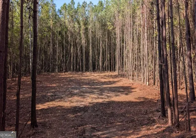 Photo 3 of Land for sale at 2446 Soap Crk Rd, Ball Ground, GA 30107 | MLS# 10851138 | Listing updated on 2026-10-06