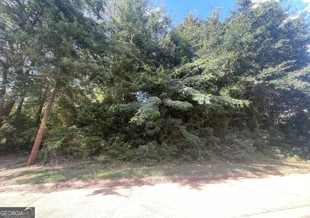 Photo 2 of Land for sale at 45 Pine St, Griffin, GA 30223 | MLS# 10843132 | Listing updated on 2026-09-11