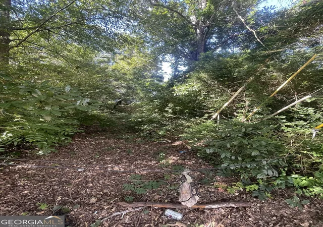 Photo 4 of Land for sale at 45 Pine St, Griffin, GA 30223 | MLS# 10843132 | Listing updated on 2026-09-11