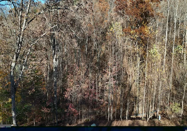 Photo 3 of Land for sale at Lot 198 Northshore Dr, Cleveland, GA 30528 | MLS# 10848496 | Listing updated on 2026-09-18