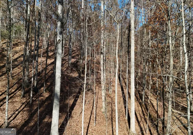 Photo 4 of Land for sale at Lot 198 Northshore Dr, Cleveland, GA 30528 | MLS# 10848496 | Listing updated on 2026-09-18