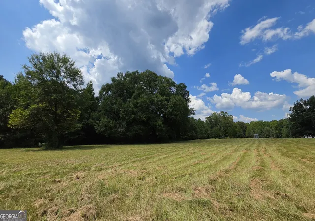 Photo 3 of Land for sale at 0 Alvaton Rd, Gay, GA 30218 | MLS# 10835745 | Listing updated on 2026-09-12