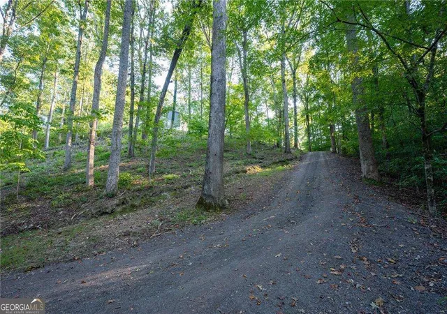 Photo 1 of Single family home for sale at 678 River Bnd Rd Sw, Plainville, GA 30733 | MLS# 10839609 | Listing updated on 2026-10-03